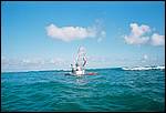 0397492-R1-014-5A.jpg