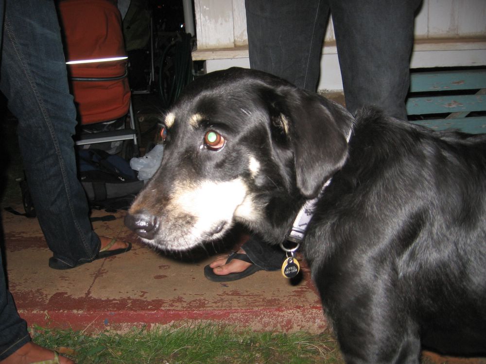 img2_3069.JPG