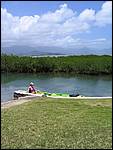 IMG_5819.jpg