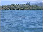 IMG_5844.jpg