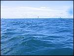 IMG_5925.JPG