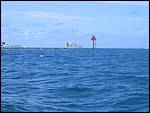 IMG_5929.JPG