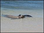 IMG_7463.JPG
