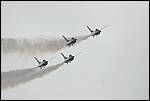 IMG_5993.JPG