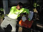 IMG_4520.JPG