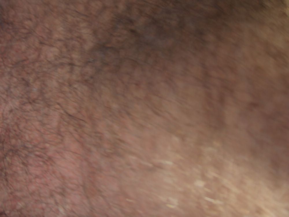 PA210161.JPG