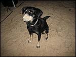 IMG_3370.JPG