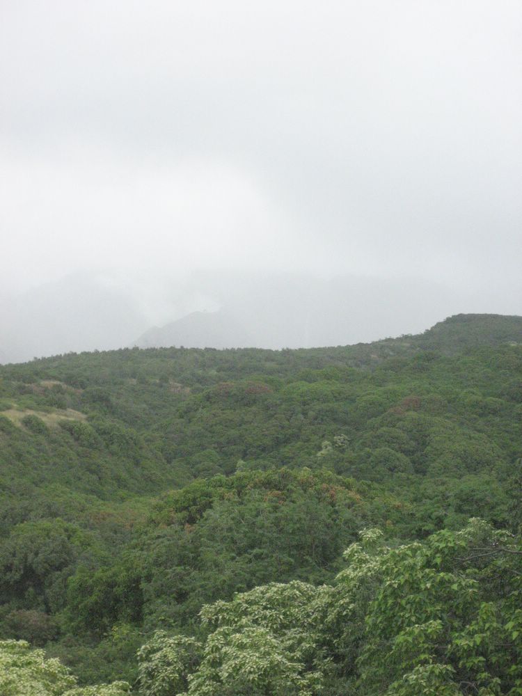 IMG-13557.JPG