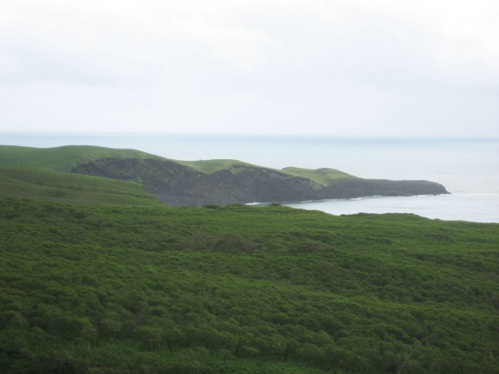IMG-13570.JPG