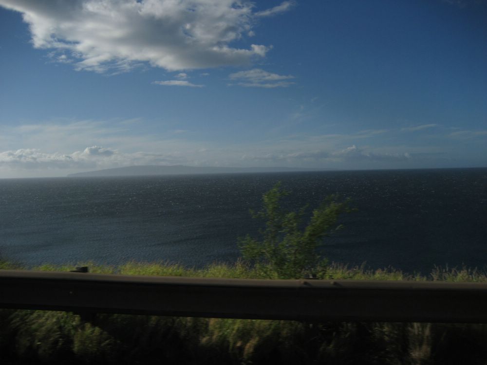 IMG-13629.JPG