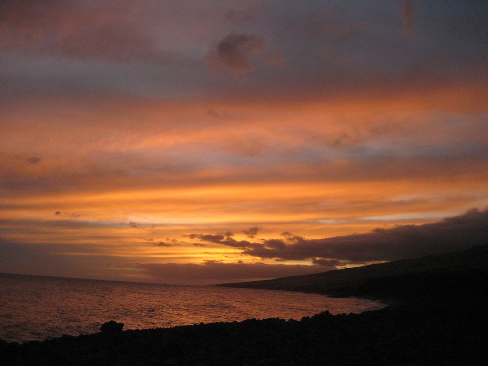IMG-13734.JPG