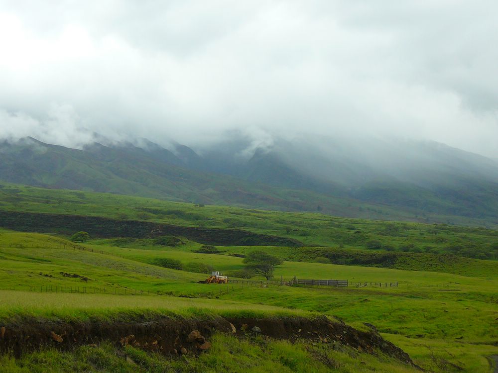 P1030415.JPG