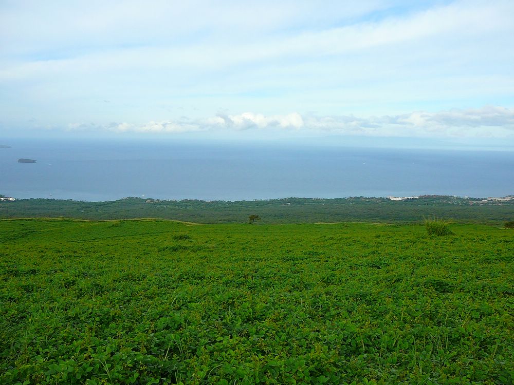 P1030543.JPG