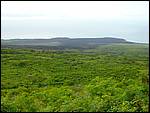P1030539.JPG