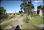 IMG_4343.JPG