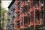IMG_4110.JPG