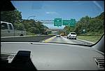 IMG_4146.JPG