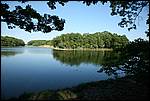 IMG_4162.JPG