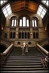 IMG_4265.JPG