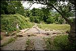IMG_4710.JPG