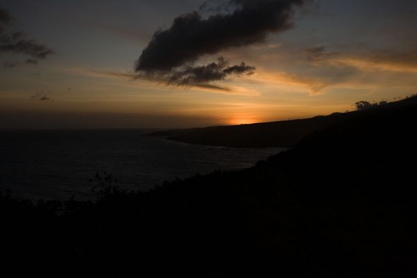 IMG_6572.jpg