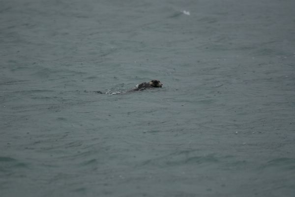 IMG_6524.JPG