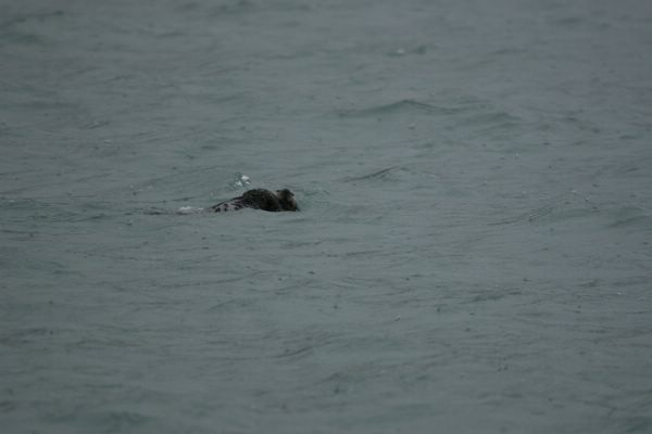 IMG_6525.JPG