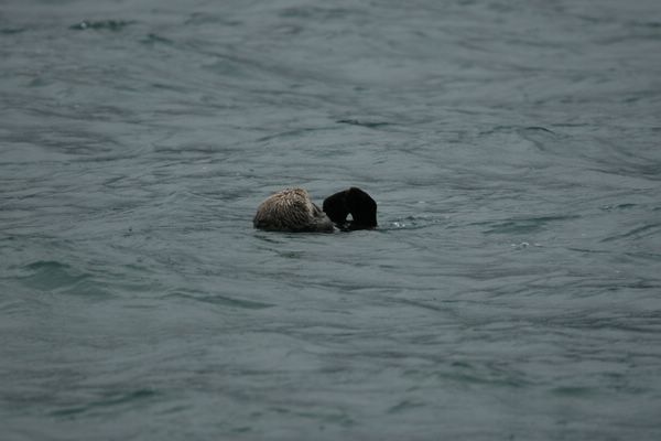IMG_6527.JPG