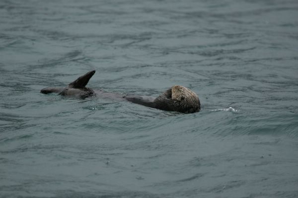 IMG_6536.JPG