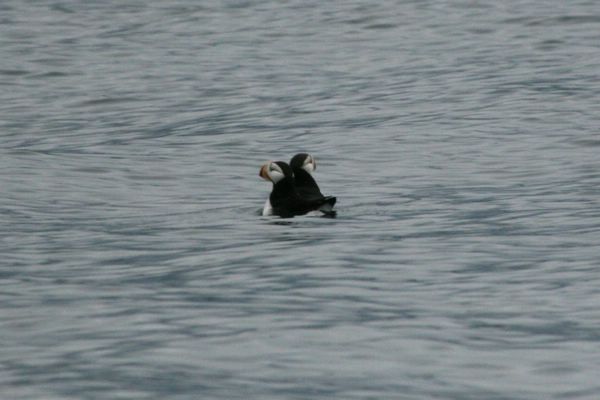 IMG_6608.JPG