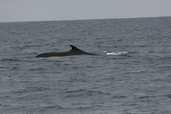 IMG_6864.JPG