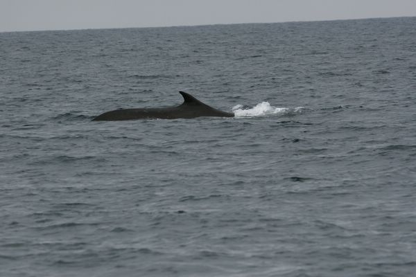 IMG_6865.JPG