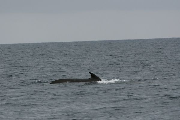 IMG_6866.JPG