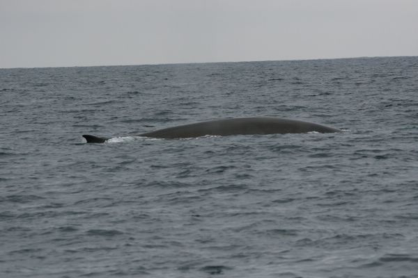IMG_6873.JPG
