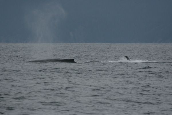 IMG_6949.JPG