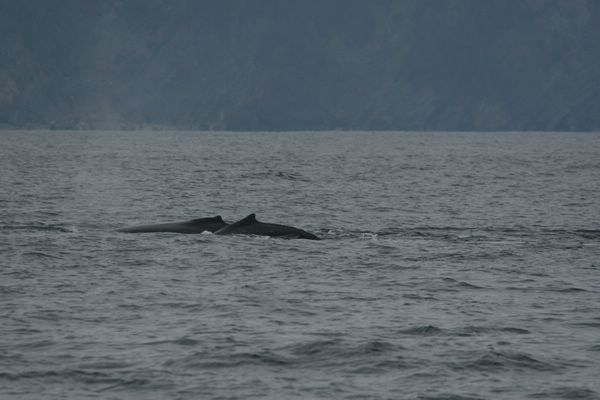 IMG_6976.JPG