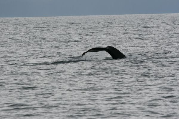 IMG_7028.JPG