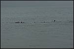 IMG_6472.JPG