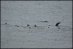 IMG_6475.JPG