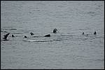 IMG_6487.JPG