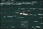 IMG_6610.JPG