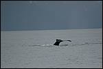 IMG_6636.JPG
