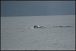 IMG_6638.JPG