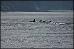 IMG_6757.JPG
