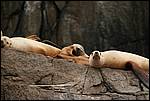 IMG_6767.JPG