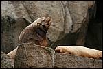 IMG_6774.JPG