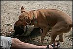 IMG_6861-1.JPG