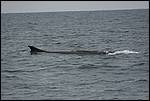 IMG_6861.JPG