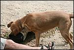 IMG_6862-1.JPG