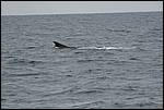 IMG_6862.JPG